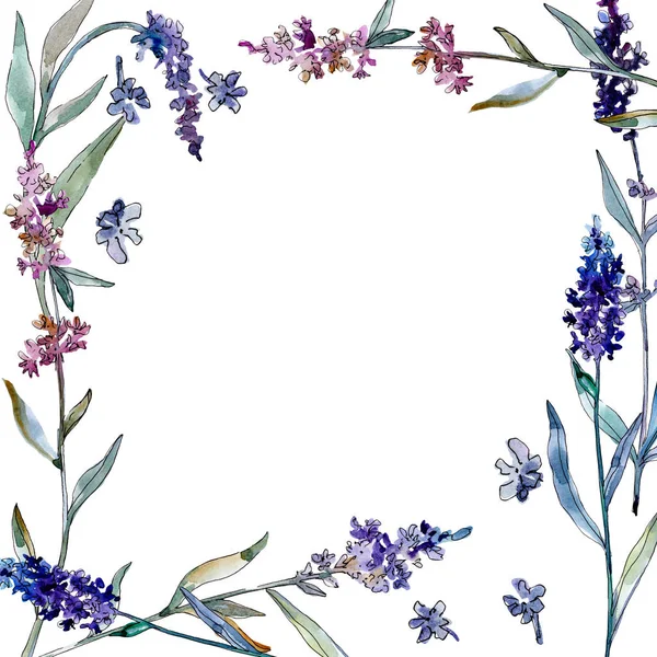 Fleurs botaniques florales de lavande. Ensemble d'illustration de fond aquarelle. Cadre bordure ornement carré . — Photo de stock