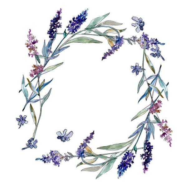 Lavanda flores botánicas florales. Conjunto de ilustración de fondo acuarela. Marco borde ornamento cuadrado . - foto de stock