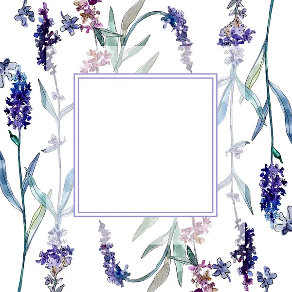 Lavendel blühende botanische Blumen. Aquarell Hintergrundillustration Set. Rahmen Rand Ornament Quadrat. — Stockfoto