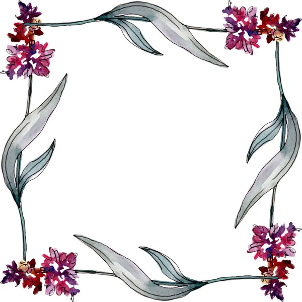 Lavendel blühende botanische Blumen. Aquarell Hintergrundillustration Set. Rahmen Rand Ornament Quadrat. — Stockfoto