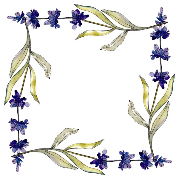 Lavanda flores botânicas florais. Conjunto de ilustração de fundo aquarela. Quadro borda ornamento quadrado . — Fotografia de Stock