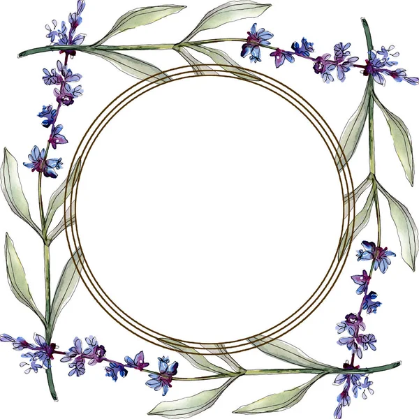 Lavendel blühende botanische Blumen. Aquarell Hintergrundillustration Set. Rahmen Rand Ornament Quadrat. — Stockfoto