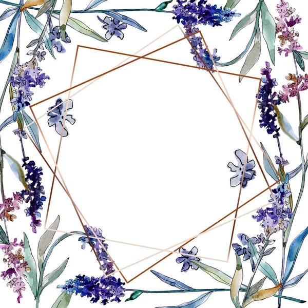 Fiori botanici floreali di lavanda. Acquerello sfondo illustrazione set. Quadrato ornamento bordo cornice . — Foto stock