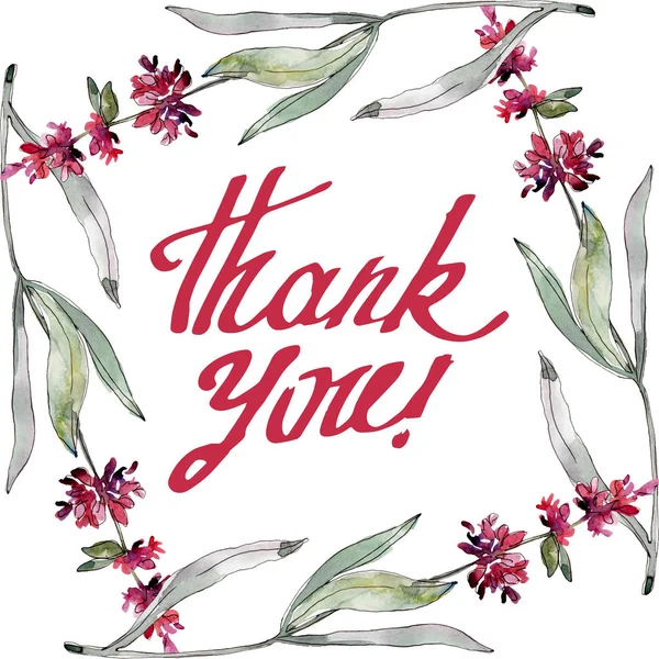 Лаванда цветочные ботанические цветы. Набор акварельных фонов. Граничный орнамент . — стоковое фото