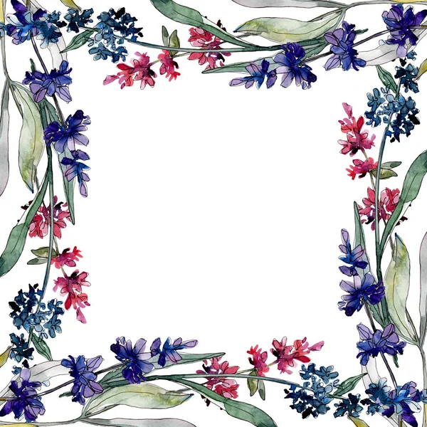 Lavendel blühende botanische Blumen. Aquarell Hintergrundillustration Set. Rahmen Rand Ornament Quadrat. — Stockfoto