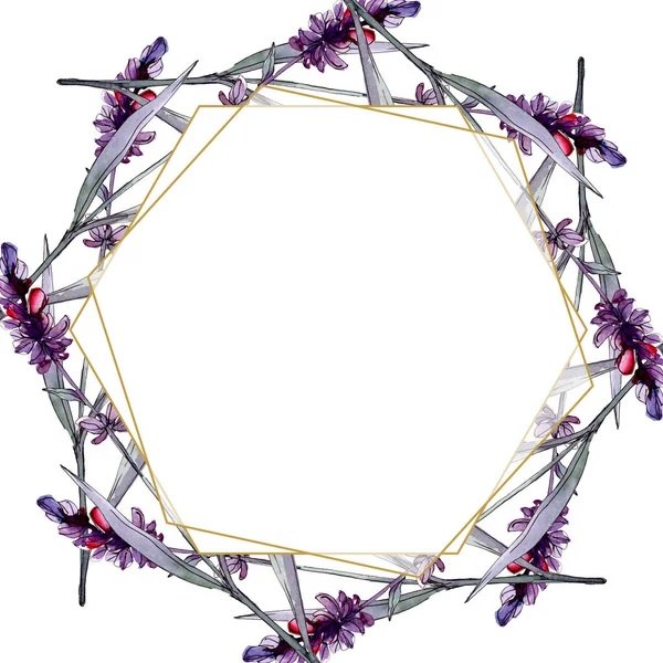 Лаванда квіткові ботанічні квіти. Дикий весняний лист ізольований. Набір ілюстрацій для акварельного фону. Акварельний малюнок моди акварель ізольовано. Каркасна площа прикордонного орнаменту . — стокове фото