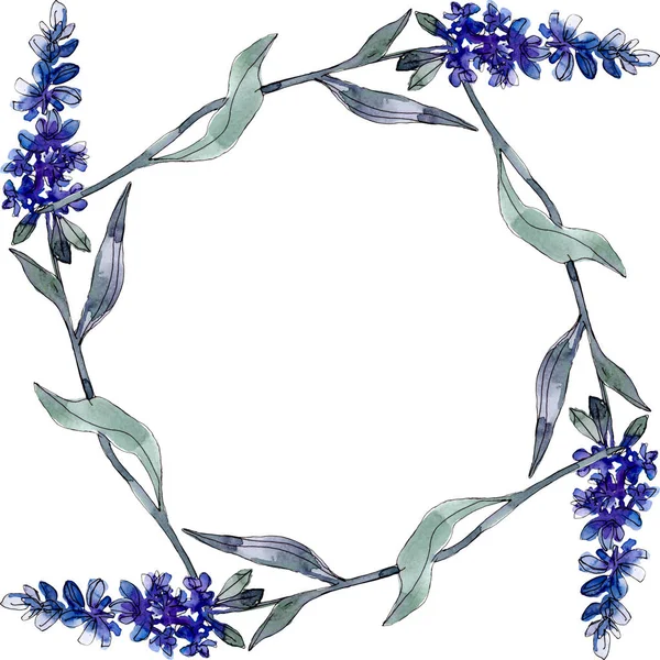 Lavendel blühende botanische Blumen. wildes Frühlingsblatt Wildblume isoliert. Aquarell Hintergrundillustration Set. Aquarellzeichnung Modeaquarell isoliert. Rahmen Rand Ornament Quadrat. — Stockfoto