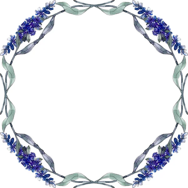 Fiori botanici floreali di lavanda. Fiore selvatico primaverile isolato. Acquerello sfondo illustrazione set. Acquerello disegno moda acquerello isolato. Quadrato ornamento bordo cornice . — Foto stock