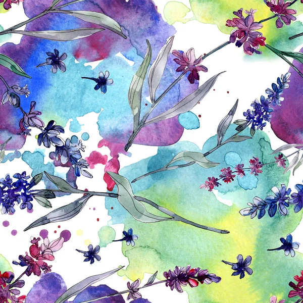 Lavendel blühende botanische Blumen. wilde Frühlingsblume. Aquarell-Illustrationsset vorhanden. Aquarell zeichnen Mode-Aquarell. nahtlose Hintergrundmuster. Stoff Tapete drucken Textur. — Stockfoto