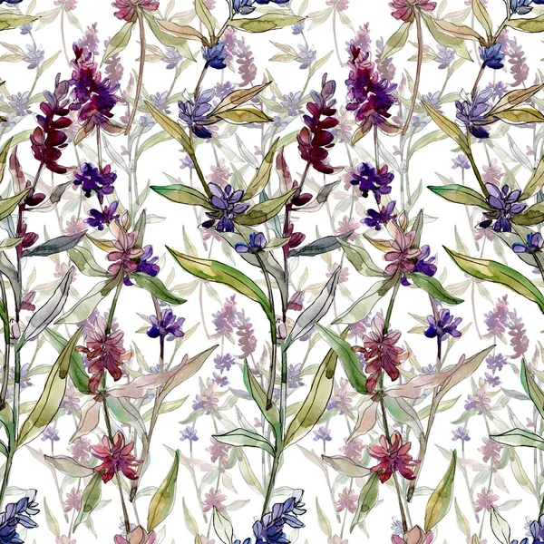 Flores botânicas florais de lavanda roxa. Folha selvagem da primavera wildflower. Conjunto de ilustrações aquarela. Aquarelle desenho aquarelle moda. Padrão de fundo sem costura. Tecido papel de parede impressão textura . — Fotografia de Stock