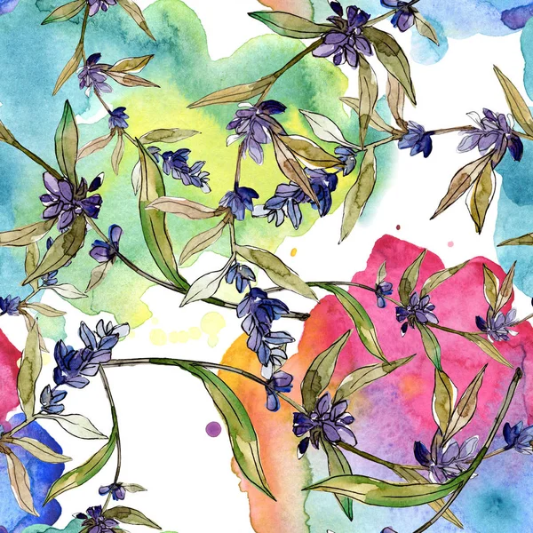 Fleurs botaniques florales violettes lavande. Feuille de printemps sauvage fleur sauvage. Ensemble d'illustration aquarelle. Aquarelle dessin mode aquarelle. Modèle de fond sans couture. Texture d'impression papier peint tissu . — Photo de stock