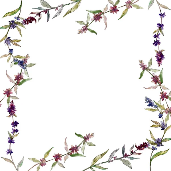 Fleurs botaniques florales violettes lavande. Feuille sauvage de printemps fleur sauvage isolée. Ensemble d'illustration de fond aquarelle. Aquarelle dessin mode aquarelle isolé. Cadre bordure ornement carré . — Photo de stock