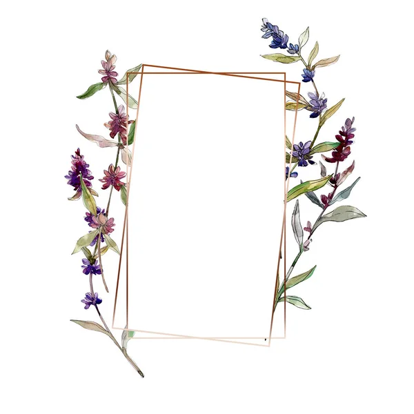 Fiori botanici floreali viola lavanda. Fiore selvatico primaverile isolato. Acquerello sfondo illustrazione set. Acquerello disegno moda acquerello isolato. Quadrato ornamento bordo cornice . — Foto stock