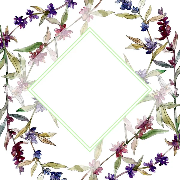 Fiori botanici floreali viola lavanda. Fiore selvatico primaverile isolato. Acquerello sfondo illustrazione set. Acquerello disegno moda acquerello isolato. Quadrato ornamento bordo cornice . — Foto stock