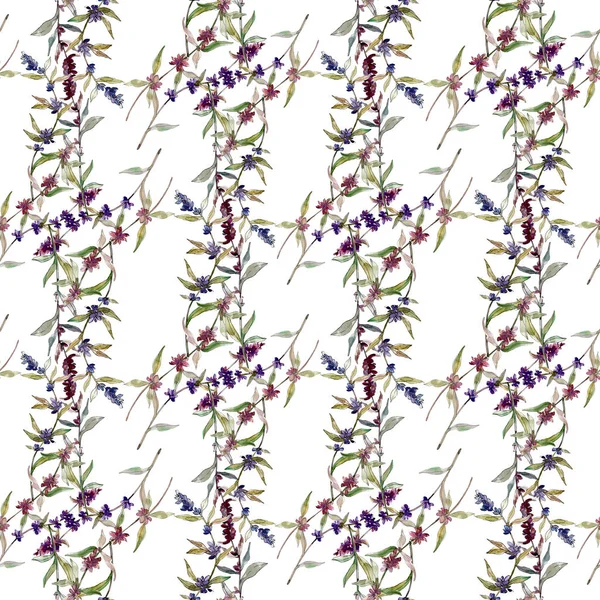 Fleurs botaniques florales violettes lavande. Feuille de printemps sauvage fleur sauvage. Ensemble d'illustration aquarelle. Aquarelle dessin mode aquarelle. Modèle de fond sans couture. Texture d'impression papier peint tissu . — Photo de stock