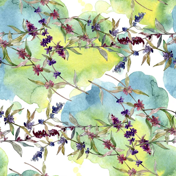 Fleurs botaniques florales violettes lavande. Feuille de printemps sauvage fleur sauvage. Ensemble d'illustration aquarelle. Aquarelle dessin mode aquarelle. Modèle de fond sans couture. Texture d'impression papier peint tissu . — Photo de stock