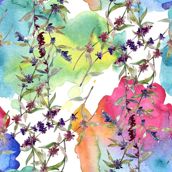 Lila Lavendel blühende botanische Blumen. wilde Frühlingsblume. Aquarell-Illustrationsset vorhanden. Aquarell zeichnen Mode-Aquarell. nahtlose Hintergrundmuster. Stoff Tapete drucken Textur. — Stockfoto