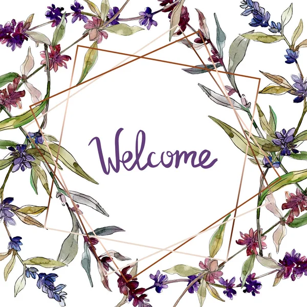 Fiori botanici floreali viola lavanda. Fiore selvatico primaverile isolato. Acquerello sfondo illustrazione set. Acquerello disegno moda acquerello isolato. Quadrato ornamento bordo cornice . — Foto stock