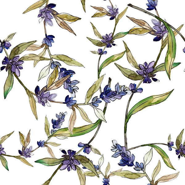 Lila Lavendel blühende botanische Blumen. wilde Frühlingsblume. Aquarell-Illustrationsset vorhanden. Aquarell zeichnen Mode-Aquarell. nahtlose Hintergrundmuster. Stoff Tapete drucken Textur. — Stockfoto