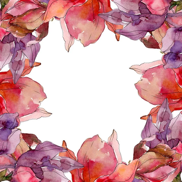 Camelia fleurs botaniques florales. Ensemble d'illustration de fond aquarelle. Cadre bordure ornement carré . — Photo de stock