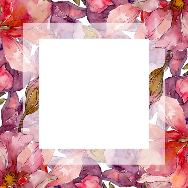 Camelia flores botânicas florais. Conjunto de ilustração de fundo aquarela. Quadro borda ornamento quadrado . — Fotografia de Stock