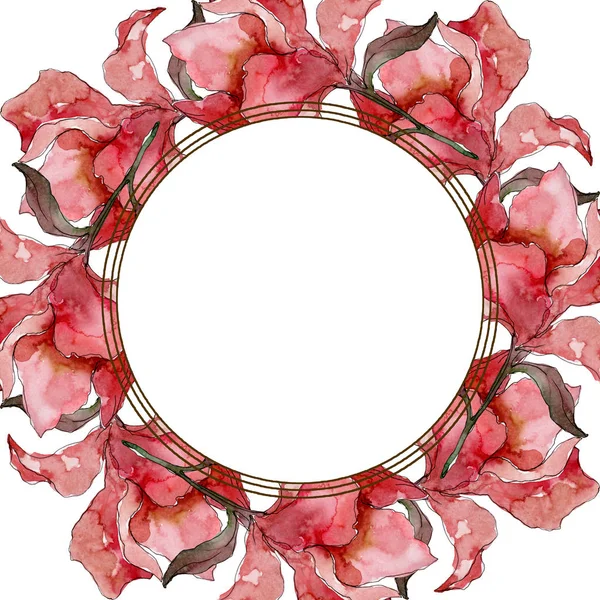 Fiori botanici floreali Camelia. Acquerello sfondo illustrazione set. Quadrato ornamento bordo cornice . — Foto stock