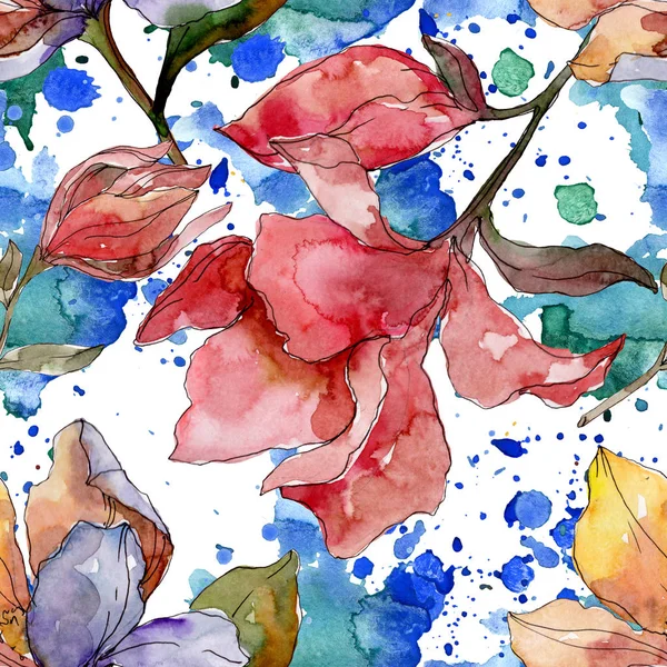 Camelia fleurs botaniques florales. Ensemble d'illustration de fond aquarelle. Modèle de fond sans couture . — Stock Photo