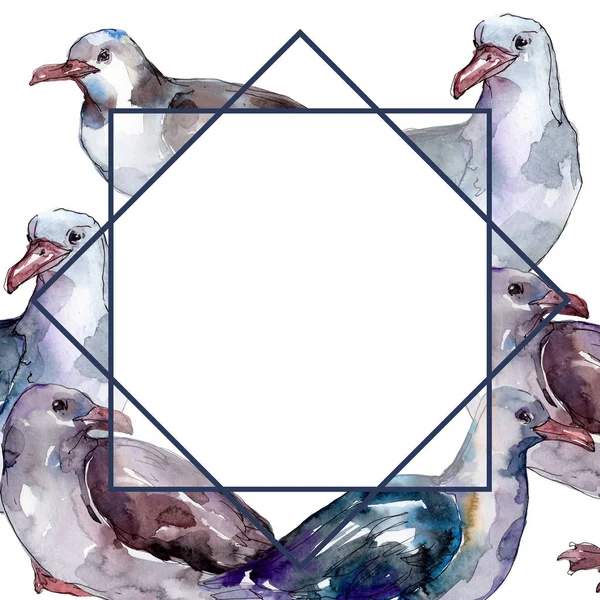 Sky bird seagull in a wildlife isolated. Wild freedom, bird with a flying wings. Watercolor background illustration set. Watercolour drawing fashion aquarelle. Frame border ornament square. — Stock Photo