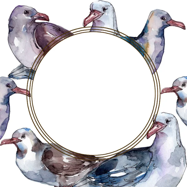 Gaviota del cielo en una vida silvestre aislada. Libertad salvaje, pájaro con alas voladoras. Conjunto de ilustración de fondo acuarela. Acuarela dibujo moda aquarelle. Marco borde ornamento cuadrado . - foto de stock