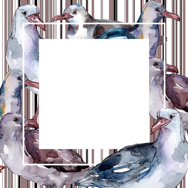 Sky bird seagull in a wildlife isolated. Wild freedom, bird with a flying wings. Watercolor background illustration set. Watercolour drawing fashion aquarelle. Frame border ornament square. — Stock Photo