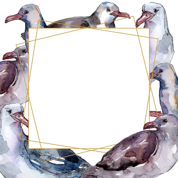 Gaivota do pássaro do céu em uma vida selvagem isolada. Liberdade selvagem, pássaro com asas voadoras. Conjunto de ilustração de fundo aquarela. Aquarelle desenho aquarelle moda. Quadro borda ornamento quadrado . — Fotografia de Stock