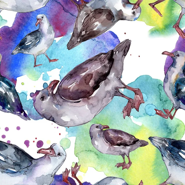 Ciel oiseau mouette dans une faune sauvage. Liberté sauvage, oiseau aux ailes volantes. Ensemble d'illustration aquarelle. Aquarelle dessin mode aquarelle. Modèle de fond sans couture. Texture d'impression papier peint tissu . — Photo de stock