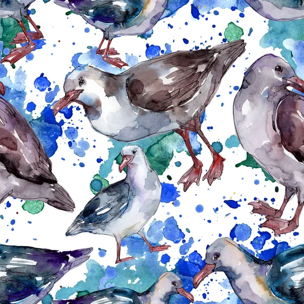 Ciel oiseau mouette dans une faune sauvage. Liberté sauvage, oiseau aux ailes volantes. Ensemble d'illustration aquarelle. Aquarelle dessin mode aquarelle. Modèle de fond sans couture. Texture d'impression papier peint tissu . — Photo de stock