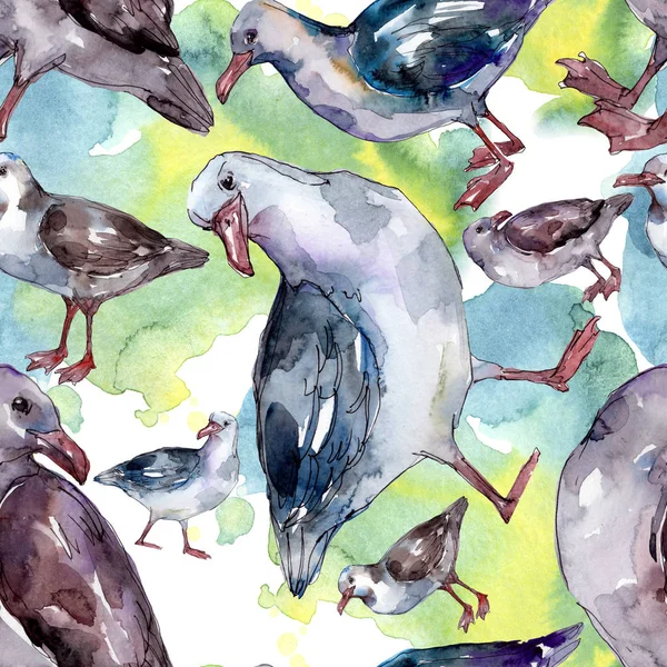 Sky bird seagull in a wildlife. Wild freedom, bird with a flying wings. Watercolor illustration set. Watercolour drawing fashion aquarelle. Seamless background pattern. Fabric wallpaper print texture. — Stock Photo