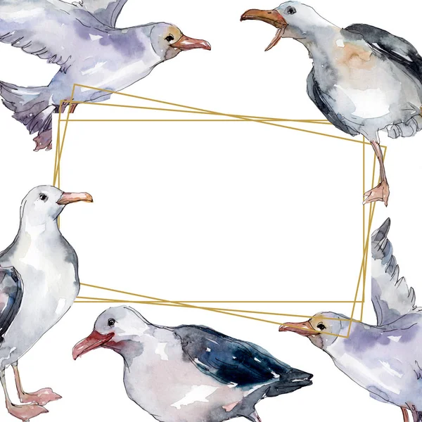 Sky bird seagull in a wildlife. Wild freedom, bird with a flying wings. Watercolor background illustration set. Watercolour drawing fashion aquarelle isolated. Frame border ornament square. — Stock Photo
