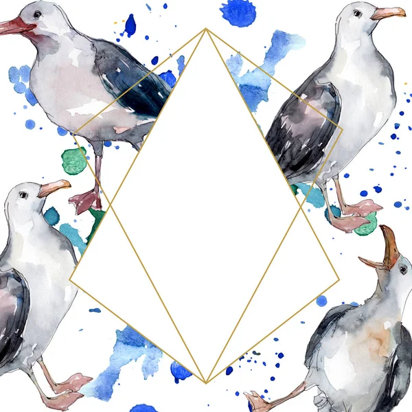 Sky bird seagull in a wildlife. Wild freedom, bird with a flying wings. Watercolor background illustration set. Watercolour drawing fashion aquarelle isolated. Frame border ornament square. — Stock Photo