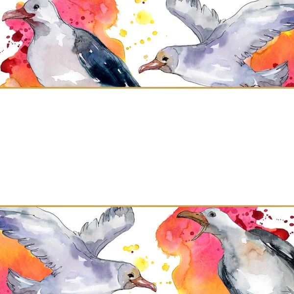 Himmelsvogel Möwe in einer Tierwelt. Wilde Freiheit, Vogel mit fliegenden Flügeln. Aquarell Hintergrundillustration Set. Aquarellzeichnung Modeaquarell isoliert. Rahmen Rand Ornament Quadrat. — Stockfoto