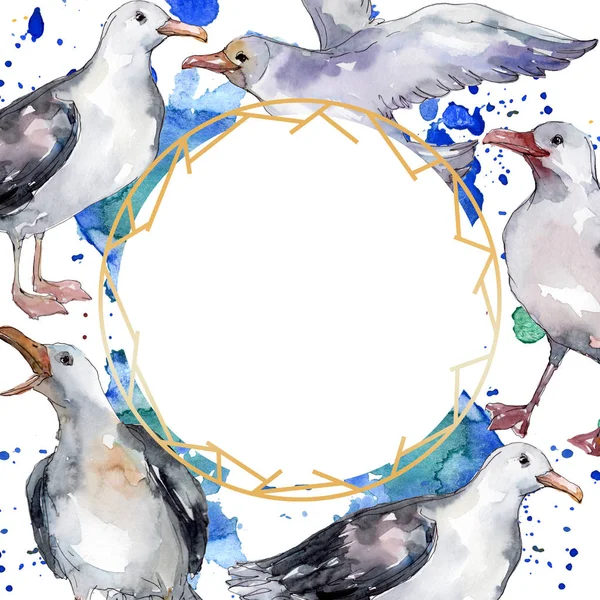 Sky bird seagull in a wildlife. Wild freedom, bird with a flying wings. Watercolor background illustration set. Watercolour drawing fashion aquarelle isolated. Frame border ornament square. — Stock Photo