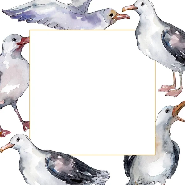 Gabbiano uccello del cielo in una fauna selvatica. Libertà selvaggia, uccello con le ali volanti. Acquerello sfondo illustrazione set. Acquerello disegno moda acquerello isolato. Quadrato ornamento bordo cornice . — Foto stock