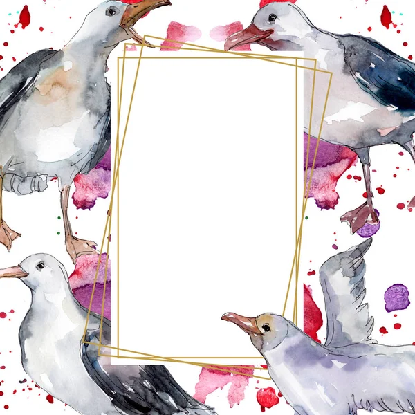 Gaivota do pássaro do céu em uma vida selvagem. Liberdade selvagem, pássaro com asas voadoras. Conjunto de ilustração de fundo aquarela. Aquarelle desenho aquarelle moda isolado. Quadro borda ornamento quadrado . — Fotografia de Stock