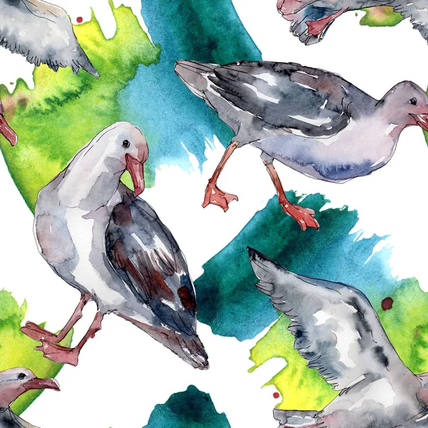 Gaivota do pássaro do céu em uma vida selvagem. Liberdade selvagem, pássaro com asas voadoras. Conjunto de ilustrações aquarela. Aquarelle desenho aquarelle moda. Padrão de fundo sem costura. Tecido papel de parede impressão textura . — Fotografia de Stock