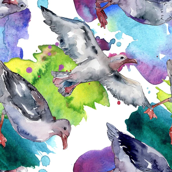 Ciel oiseau mouette dans une faune sauvage. Liberté sauvage, oiseau aux ailes volantes. Ensemble d'illustration aquarelle. Aquarelle dessin mode aquarelle. Modèle de fond sans couture. Texture d'impression papier peint tissu . — Photo de stock