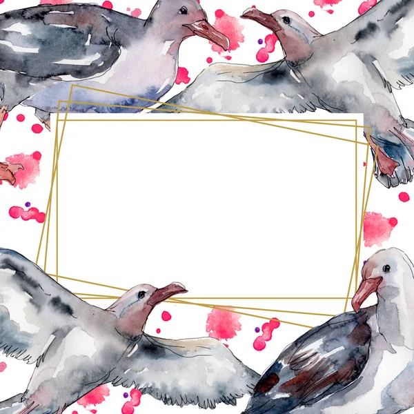 Ciel oiseau mouette dans une faune sauvage. Liberté sauvage, oiseau aux ailes volantes. Ensemble d'illustration de fond aquarelle. Aquarelle dessin mode aquarelle isolé. Cadre bordure ornement carré . — Photo de stock