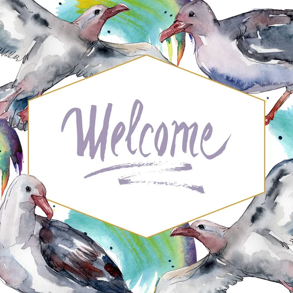 Sky bird seagull in a wildlife. Wild freedom, bird with a flying wings. Watercolor background illustration set. Watercolour drawing fashion aquarelle isolated. Frame border ornament square. — Stock Photo