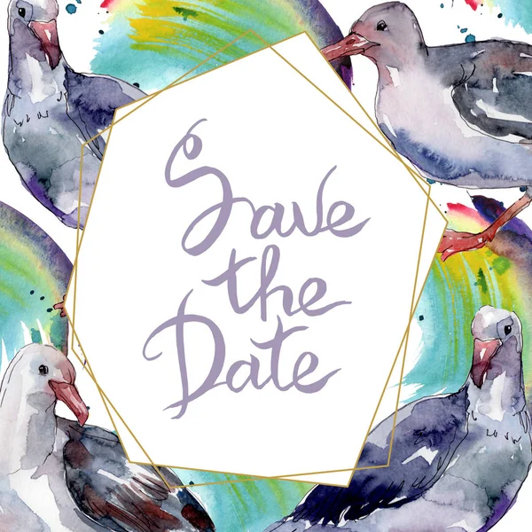 Sky bird seagull in a wildlife. Wild freedom, bird with a flying wings. Watercolor background illustration set. Watercolour drawing fashion aquarelle isolated. Frame border ornament square. — Stock Photo