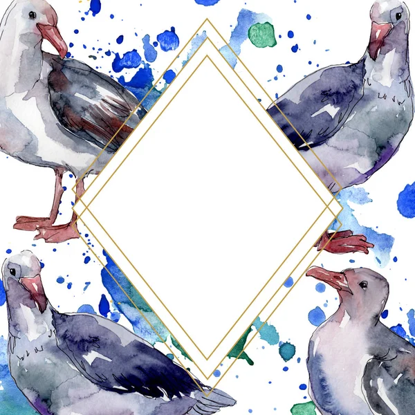 Sky bird seagull in a wildlife. Wild freedom, bird with a flying wings. Watercolor background illustration set. Watercolour drawing fashion aquarelle isolated. Frame border ornament square. — Stock Photo