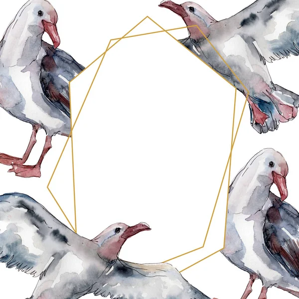 Gabbiano uccello del cielo in una fauna selvatica. Libertà selvaggia, uccello con le ali volanti. Acquerello sfondo illustrazione set. Acquerello disegno moda acquerello isolato. Quadrato ornamento bordo cornice . — Foto stock