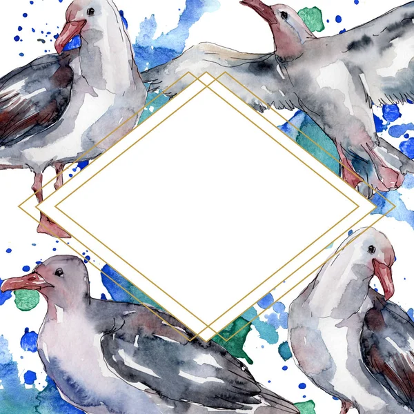 Ciel oiseau mouette dans une faune sauvage. Liberté sauvage, oiseau aux ailes volantes. Ensemble d'illustration de fond aquarelle. Aquarelle dessin mode aquarelle isolé. Cadre bordure ornement carré . — Photo de stock