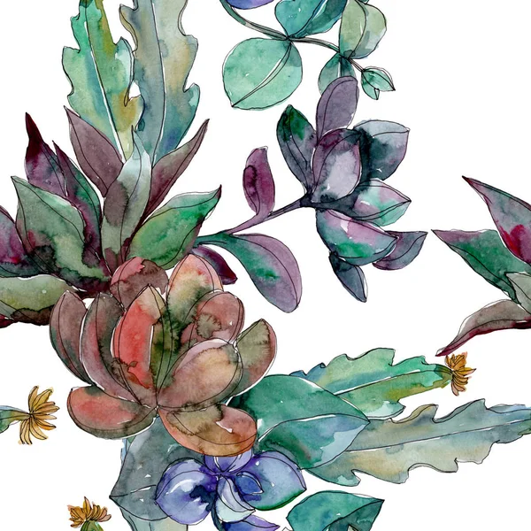 Succulents floral botanical flowers. Wild spring leaf wildflower. Watercolor illustration set. Watercolour drawing fashion aquarelle. Seamless background pattern. Fabric wallpaper print texture. — Stock Photo