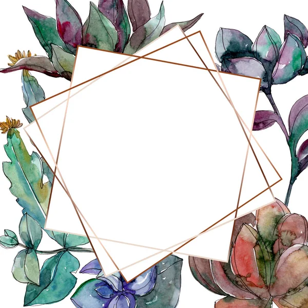 Succulents floral botanical flowers. Wild spring leaf wildflower isolated. Watercolor background illustration set. Watercolour drawing fashion aquarelle isolated. Frame border ornament square. — Stock Photo